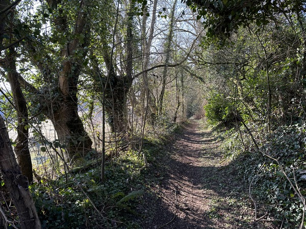 Nous sommes entre les hameaux de la Brigerie et des Vachards, les chemins sont toujours aussi agréables.