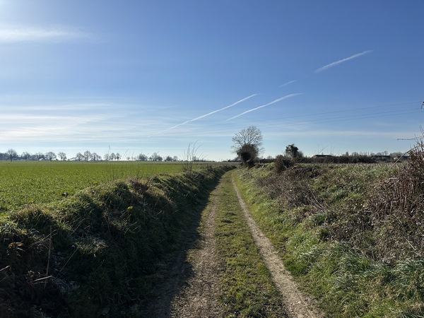 Nous traversons maintenant la plaine agricole de Boulleville.