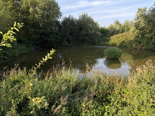 Nous sortons de la ferme Raimbourg par la petite route du Mesnil, et tournons vers le bois au niveau de la mare (GR210).