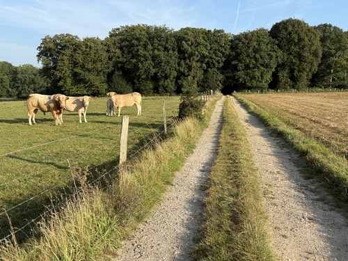 Nous traversons la plaine de la Tête de Melon pour entrer dans le bois de la Queue du Renard (!)