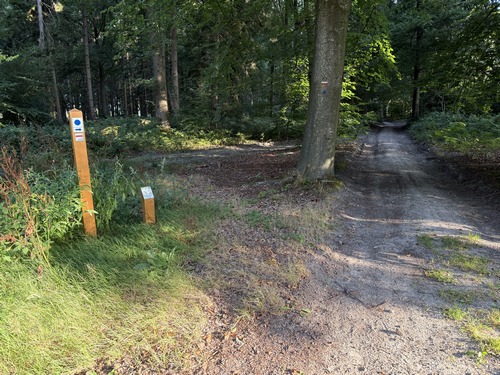 Le balisage de ce circuit est récent et plutôt régulier. Quelques panneaux informatifs agrémentent le chemin, ici, sur le petit poteau, des infos sur les jonquilles.