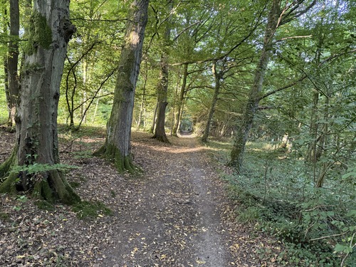 Dans la vallée, l'antique chemin des Fontaines est vraiment magnifique. Il longe la vallée de la Clérette en restant en lisière. Ce chemin reliait Montville aux sources qui contribuent à la Clérette (dont la Fontaine des Frênes).&nbsp;