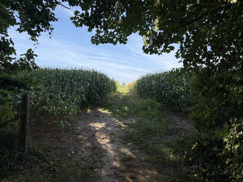 Nous sortons du bois pour traverser la plaine agricole du Plix.