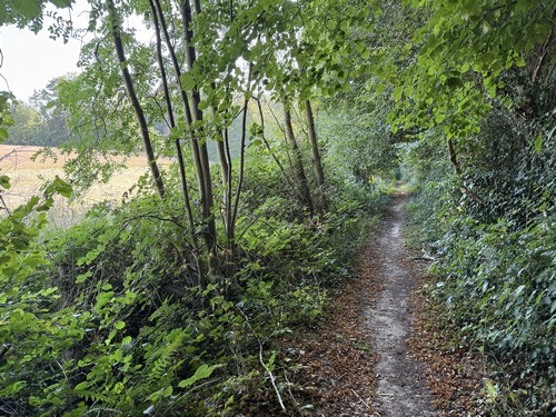 Nous avons tourné vers le nord pour nous diriger vers le hameau du Chouquet.