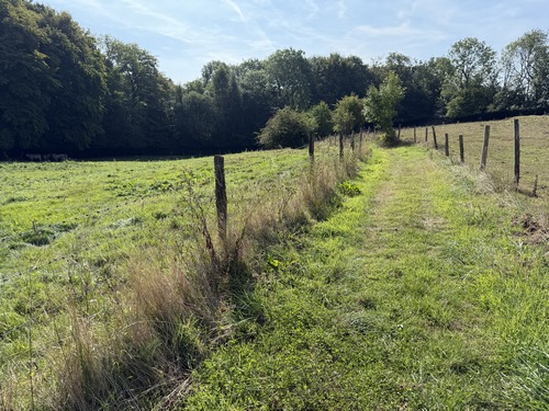 Nous sortons d'Anceaumeville par le Chemin de la Robinette, qui devient un vrai chemin après la dernière maison.