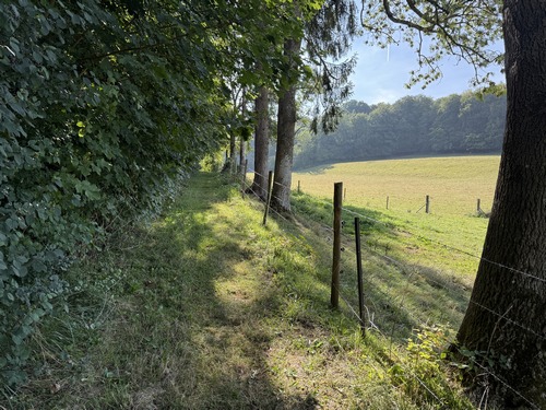 Nous montons vers Mont-Cauvaire par le chemin du Val au Roy.