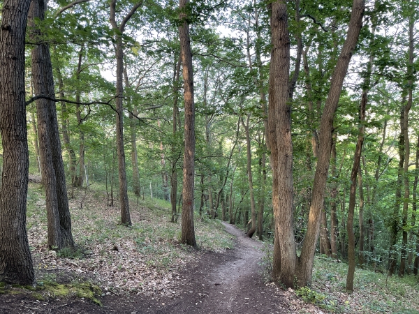 La descente est raide par endroits, il est recommandé de suivre le même sens que nous pour cette boucle, nos montées seront en pente douce.