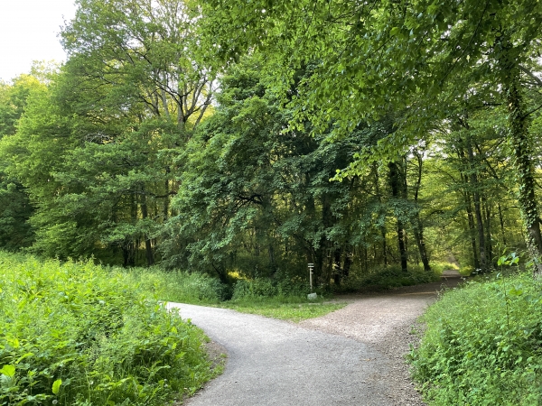Nous quittons le GR26 et le GR222 pour rester sur la voie verte, à gauche.
