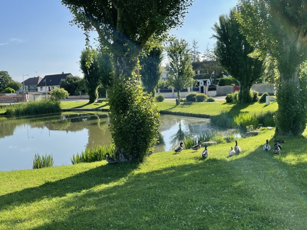 L'étang et ses habitants, près de l'église.