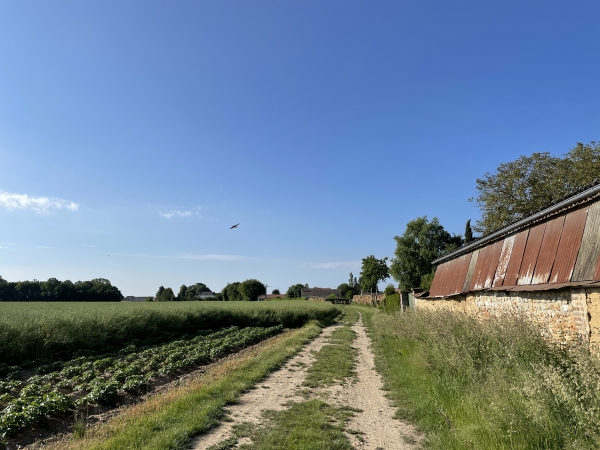 Et voilà notre nouveau chemin, nous allons le suivre jusqu'à la voie romaine.