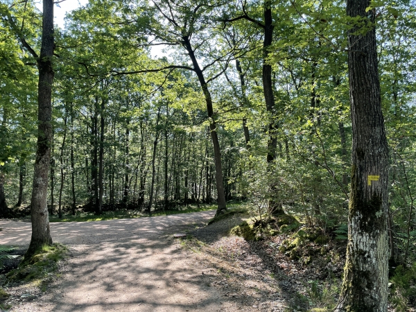 Nous arrivons sur l'ancienne voie romaine qui reliait Le Neubourg à Evreux par l'oppidum.