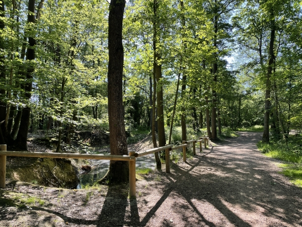 Bois de Saint-Michel.