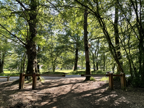 Nous quittons les chemins pour retrouver la rue du Neubourg au niveau de la Cité Lafayette. La Cité Lafayette était l'ancien quartier des officiers américains de la base aérienne de l'Otan. La cité s'était lentement dégradée depuis le démentelement de la base en 1967. En 2020, un projet de réhabilitation dans l'esprit de l'ancienne cité américaine a été validé par l'agglomération.
