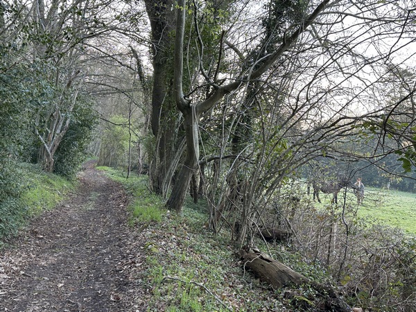 Nous rejoignons le GR223 que nous allons suivre pendant la moitié de cet itinéraire.