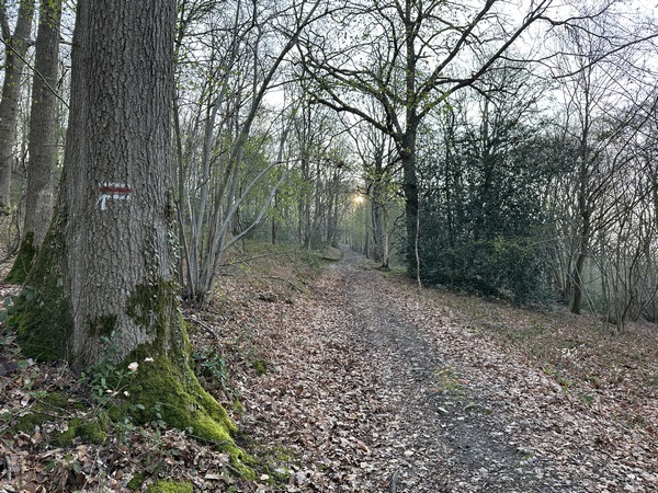 Impossible de se perdre sur les chemins de la Côte des Mares, il suffit de suivre les balises du GR223.