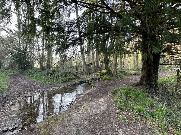 Nous rejoignons le ruisseau de la Fontaine Caillou. Nous allons le suivre jusqu'à sa source.