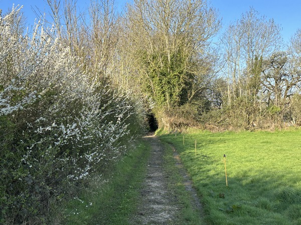 Nous arrivons sur la route de Honfleur, nous quittons le territoire de Fiquefleur-Equainville pour entrer dans celui de Manneville-la-Raoult.