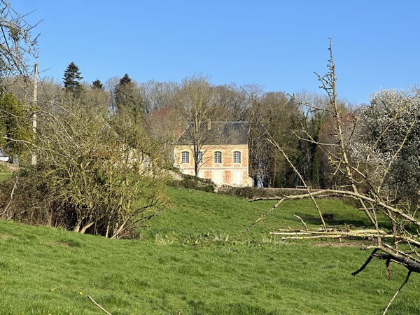 Nous montons de l'autre côté du vallon, en observant cette curieuse propriété (à voir en grand dans l'album de la rando). Elle a été coupée en deux ! Le résultat d'un incendie ?