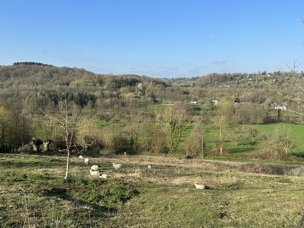 Vallée de la Morelle vue depuis le chemin de la Bonne Mare.
