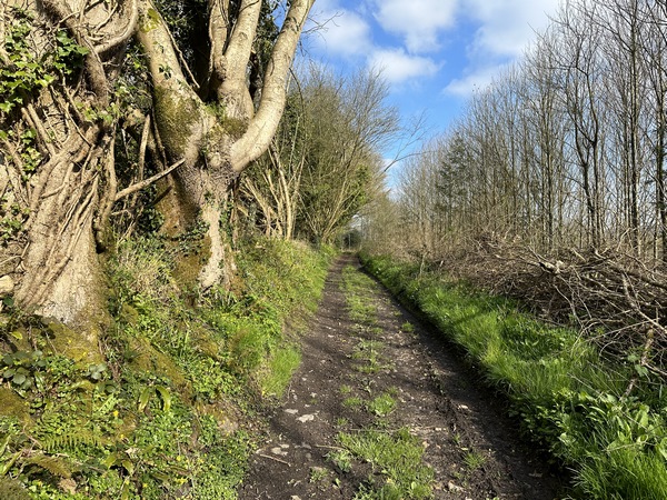 Le chemin est agréable, comme tous les chemins de ce circuit.