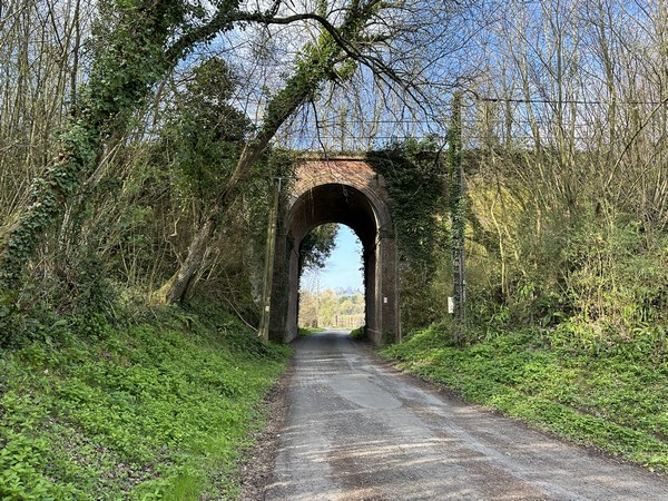 Nous allons quitter le GR223 et continuer de suivre la Morelle.