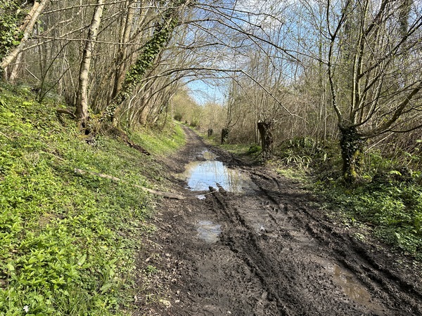 Le chemin longe toujours l'ancienne voie ferrée. Il a été labouré par des véhicules, mais il y a toujours moyen d'éviter de patauger.