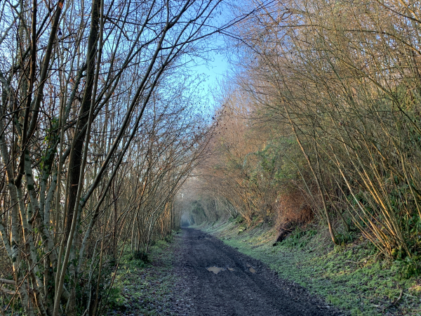 Arrivés au niveau de l'ancienne voie ferrée de Pont-Audemer à Honfleur, nous suivons le chemin qui la longe. Le chemin est labouré par des véhicules, mais il y a de la place sur les côtés.