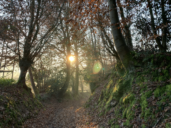 Après le Gros Dos, nous avons rejoint le chemin De Saint-Martin qui redescend dans la vallée de la Morelle.