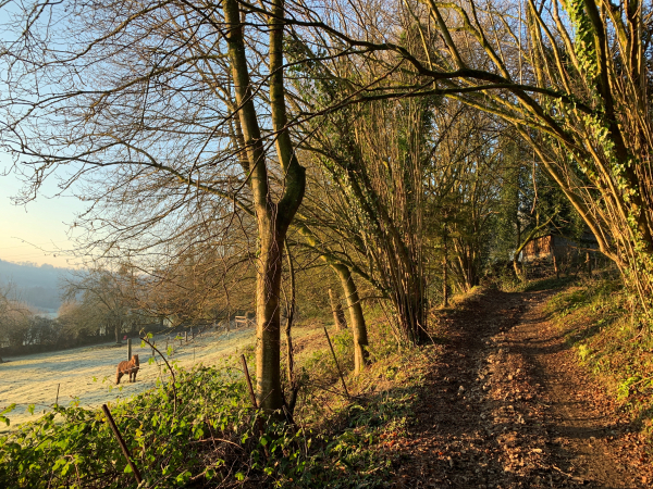 Nous remontons en direction de Genneville.
