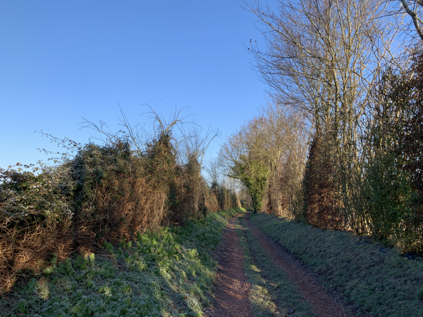 Nous entrons dans Genneville par le chemin de la Forge.