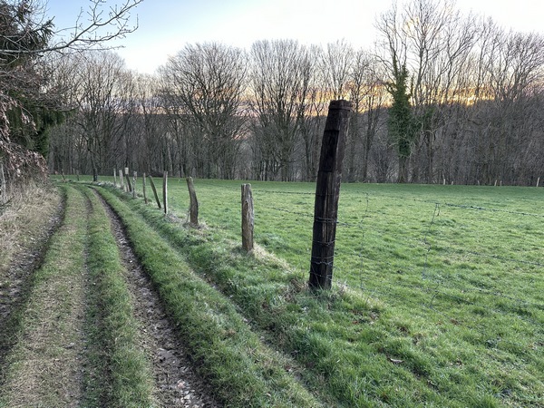 Regard arrière sur la montée vers les Grands Mesnils. Le soleil se lève derrière les collines de la forêt d'Eawy.