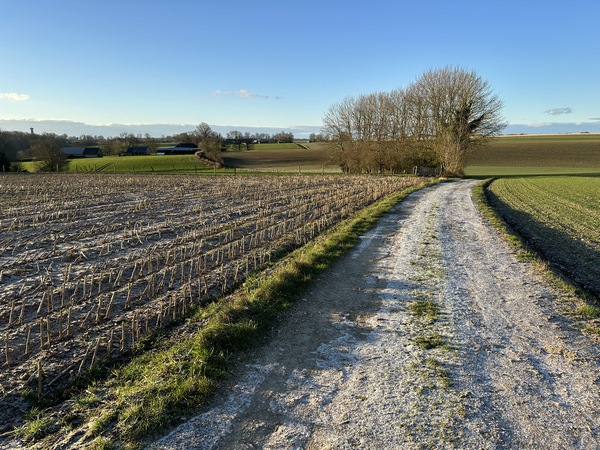 Dès la sortie du hameau, nous continuons sur un agréable chemin jusqu'à la ferme du Bois Parquet.