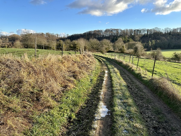 Nous traversons Beaumont-le-Roger et continuons sur le Chemin du Mesnil Bénard.