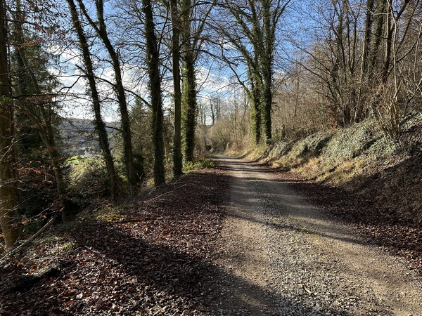 Nous fermons la boucle par le chemin forestier de la Chapelle, qui se prolonge jusqu'au centre de Rosay.