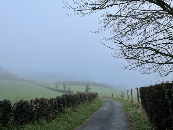 Nous quittons la place de la mairie et suivons la route du cimetière vers le bois de Saint-Ribert.