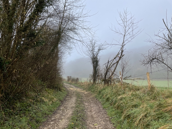 Après le cimetière, la petite route devient chemin.