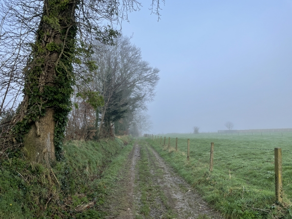 Le chemin est très agréable, même en février, mais nous ne le suivrons pas jusqu'à Dénestanville.