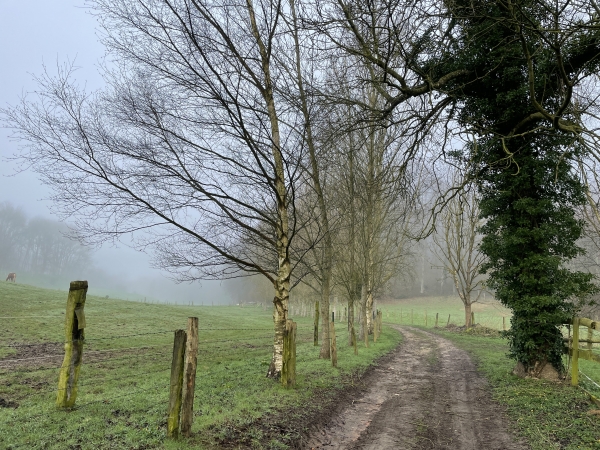 Nous arrivons dans le vallon du manoir de Dénestanville, nous allons bientôt tourner à gauche.