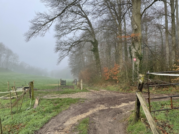 Voilà le carrefour de chemins où nous devons quitter le chemin de Dénestanville, et tourner à gauche sur le GR210.
