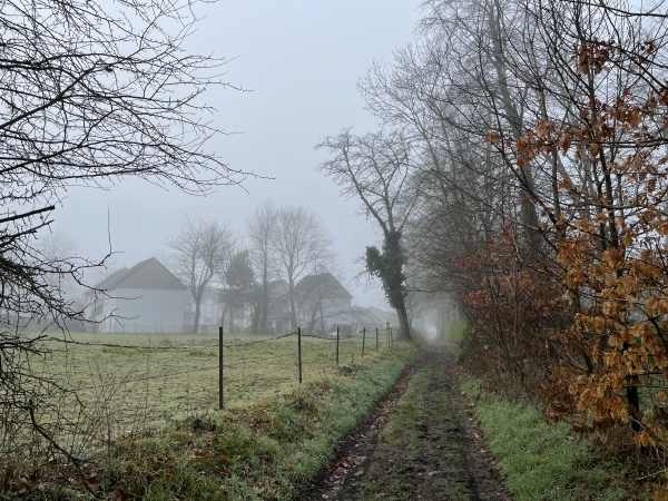 Nous voyons déjà les premières maisons de Longueville-sur-Scie.