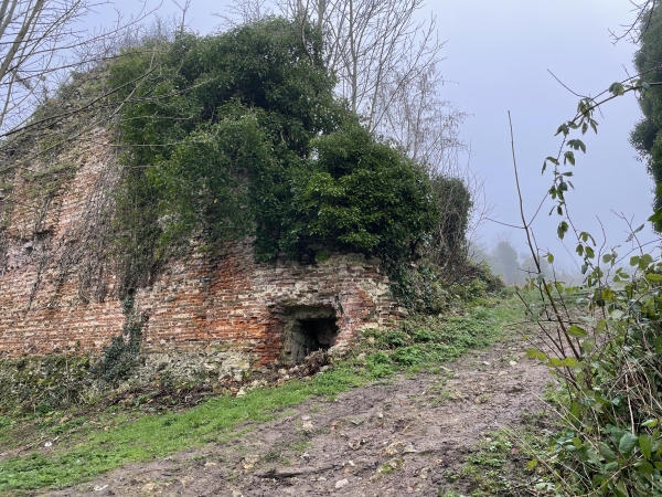 Un chemin piétonnier nous conduit au pied des ruines. Les briques sont le vestiges de la Tour Neuve du XVème siècle, mais le château en pierre date du XIe.