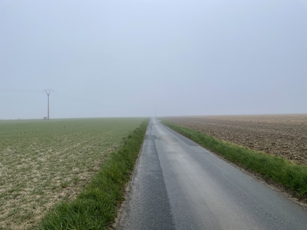 Nous quittons Longueville-sur-Scie par les chemins et routes de la plaine agricole. La petite route de Saint-Honoré est monotone, mais elle est déserte.