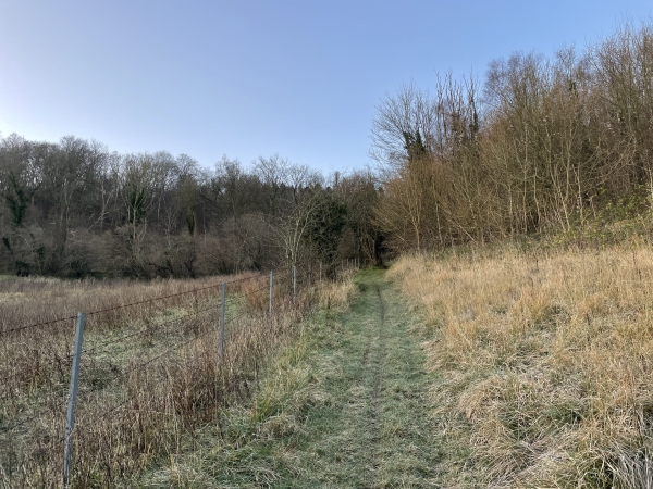 Nous entrons dans le bois de Pimont.