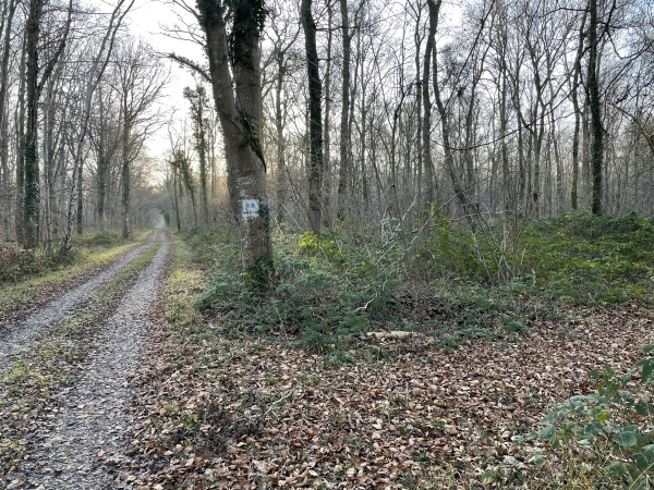 Nous quittons le chemin principal pour tourner ici à droite, en suivant les balises du PR.