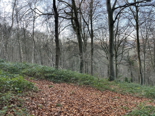 Nous avançons jusqu'au bord du plateau, au-dessus du Fond de Meuse, mais tournons à gauche avant la descente.