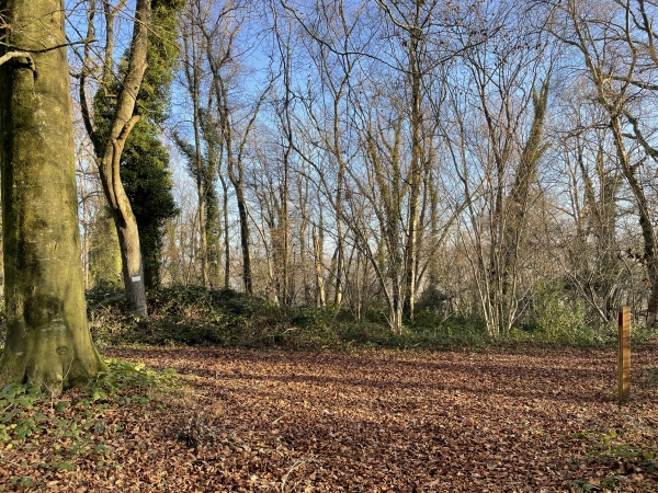 Nous retrouvons le chemin de crête que nous avions abandonné tout à l'heure. Nous allons le prendre sur la gauche, à contre-sens, pour trouver le chemin qui descend vers Meulers.