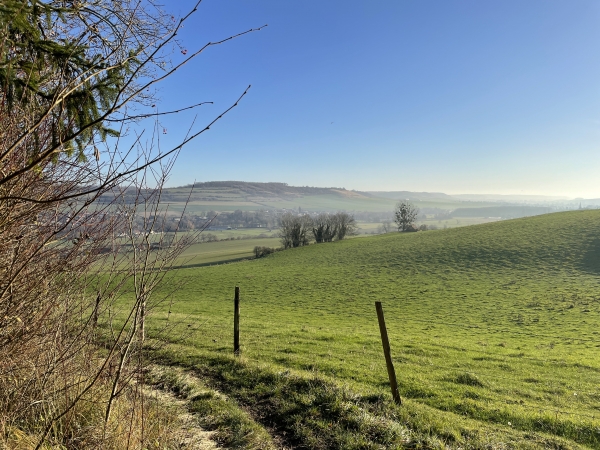 Nous sortons du bois, avec un beau panorama sur la vallée de la Béthune.