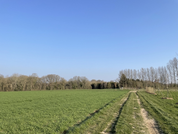 Nous marchons vers le nord sur le chemin du Pival. Au croisement des chemins, nous allons tourner à gauche vers le bois.