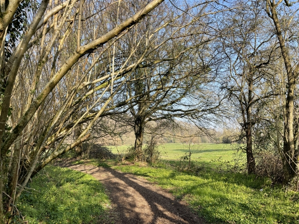 Le chemin qui avance entre le bois du coteau et la vallée offre de délicieux paysages.