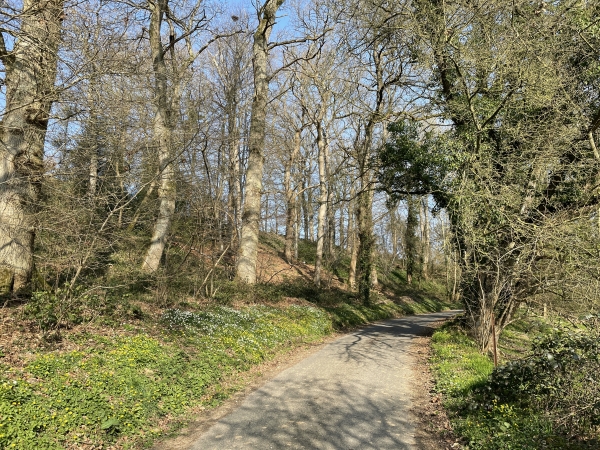 Nous nous éloignons un peu de la rivière, et suivons, toujours sur le GR211, la petite route du Bas de Sommesnil.